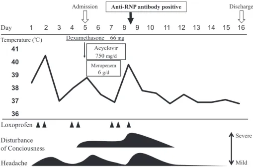 Fig. 1 Clinical course of the present case.