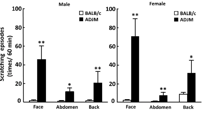 Fig. 5 Scratching episodes in male and female ADJM mice Each column and vertical bar represents the mean ± S.E.M