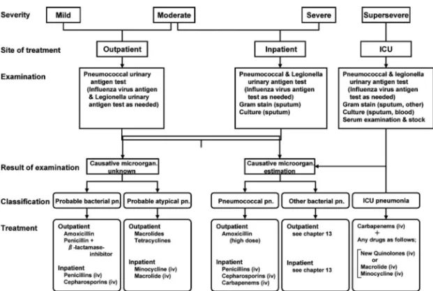 Fig. 1. Flowchart for the Initial Treatment in the Japanese Respiratory Society Community-acquired Pneumonia