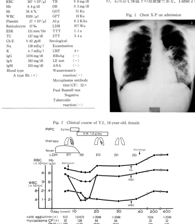 Fig.  1  Chest  X-P  on  admission