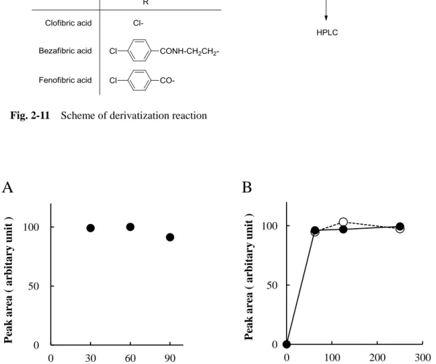 Fig. 2-11    Scheme of derivatization reaction 