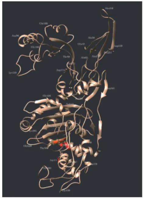 Figure 12A. Molecular model of  SCLAV_4179 based on 3vsl_B as a template. 