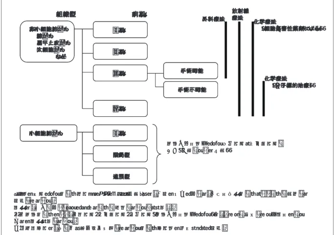 図表 4 ｢肺がん診療ガイドライン｣で示される肺がんの組織型と病期との関係（再発例を除く） 䍀㪜㪙㪤䈱ᚻᴺ䈮䉋䉎⢖䈏䉖⸻≮䉧䉟䊄䊤䉟䊮㪉㪇㪇㪌ᐕ 䍁䈪䈲䇮਄⸥䈱඙ಽ䈮ട䈋䈩䇮ਛᔃᕈᣧᦼ⢖䈏䉖䈫䈇䈉䈏䉖䈏⁛┙䈚䈩 ⸥タ䈘䉏䈩䈇䉎䇯 ∛ᦼ䈲䇮ᢙ୯䈏ᄢ䈐䈒䈭䉎䈮䈧䉏䈩䈏䉖䈏ㅴⴕ䈚䈩䈇䉎䈖䈫䉕␜䈜䇯 㕖ዊ⚦⢩⢖䈏䉖䈱䈉䈤䇮ᄖ⑼≮ᴺ䊶᡼኿✢≮ᴺ䊶ൻቇ≮ᴺ䋨⚦⢩்ኂᕈ⮎೷䈮䉋䉎䋩䈲䇮䈠䉏䉌䈏ㆬᛯ䈘䉏䉎น⢻ᕈ䈱䈅䉎 ో䈩䈱∛ᦼ䉕␜䈚䈩䈇䉎䇯 ಽሶᮡ⊛ᴦ≮䈲䇮ᚒ䈏࿖䈪⃻࿷⽼ᄁᛚ⹺䈘䉏䈩䈇䉎⢖䈏䉖ᴦ≮⮎䈱ㆡᔕ䉕䉅䈫䈮⸥タ䇯㕖