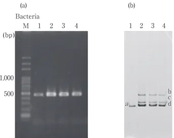 Fig． ４ Reproducibility of cooked rice deterioration by the model test