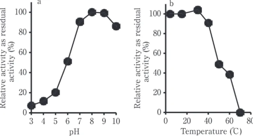 Fig． ７ Stability of the soybean seedling protease at various pH and temperature conditions