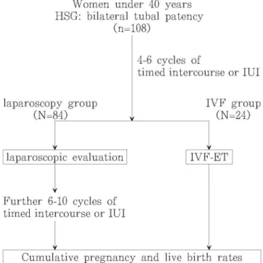 Fig. 1 Treatment flowcharts of the laparoscopy and IVF groups.