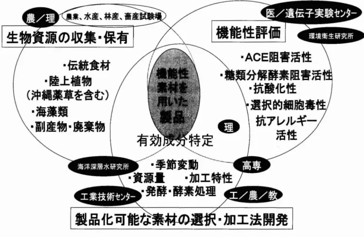 図 6 健康食品関連特許権創出のための産官学連携 による研究戦略 一沖縄県産素材の有効成分の特定､効能 ･効果､摂取量､安全性､安定性等の科学的解明のための研究リソースの活用‑ 5