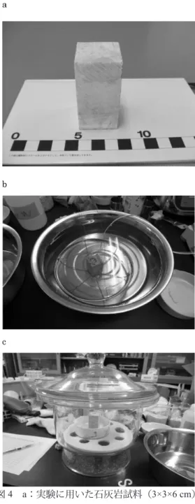 図 4　a：実験に用いた石灰岩試料（3×3×6 cm）， b：水冷の様子，c：空冷の様子設置面は，東北東に向いており，また鉛直より20°オーバーハングしているため，太陽の光があまり当たらない陰の部分になっている．また，観測の初期（8月初め）にはピナクル周辺（特にP3付近）に木が生えており，それによる影もあったが，11月から12月にかけて，周りに生えていた木がすべて伐採された．そのため，オーバーハングによる陰のみになってしまった．P4は南に面しており，また，84°の傾斜を持つほぼ鉛直な面となっているため，太陽
