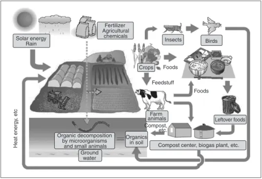 Figure 1 : Relationship between agriculture and environment