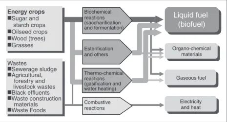 Figure 2 : Raw materials and use for biomass-related technologies Prepared by the STFC based on Reference [6]