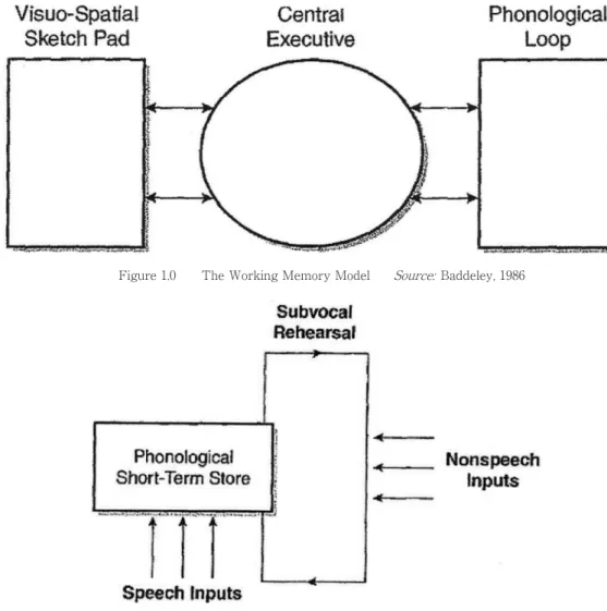 Figure 1.1　　The Phonological Loop, with the Phonological Store and Articulatory Loop　　 Source:  Baddeley, 1986