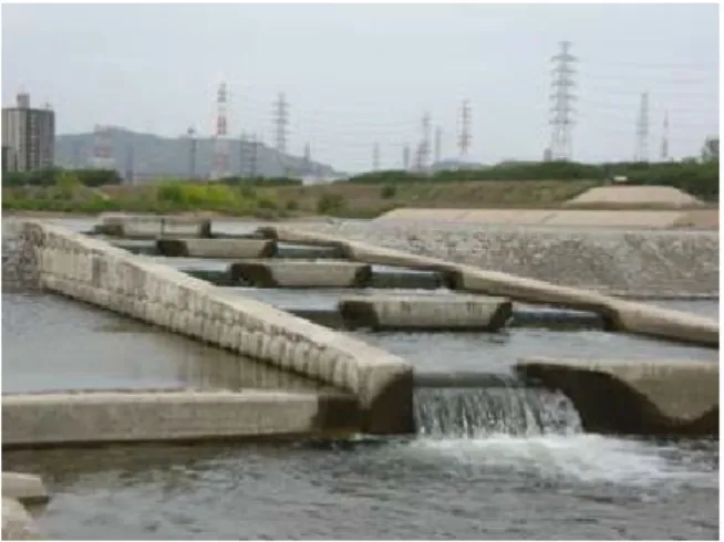 図 2-6 床止めに設置された魚道  (a)  上流部  河川勾配が小さく緩やかな流れが特徴の上流部では、緩流性の環境を好むタナゴ類やト ゲナベブタムシ、オギ群落などの魚類や底生動物、水生植物が生息、生育しており、全県 的にも極めて生物多様性の高い場所である。  (b)  中流部  中流部の武庫川峡谷では、サツキやアオヤギバナなどの岩上植物が洪水による撹乱を受 けながら生育している。  (c)  下流部  市街地を流れる下流部では、河川改修や高水敷の公園整備により人工改変率が高く、外 来種の繁茂が見られるが