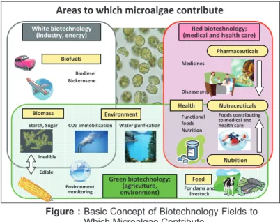 Figure :  Basic Concept of Biotechnology Fields to  Which Microalgae Contribute