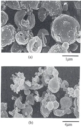 Fig. 6 SEM images of ZrO 2 powders synthesized by ECM at (a) low temperature and (b) high temperature.