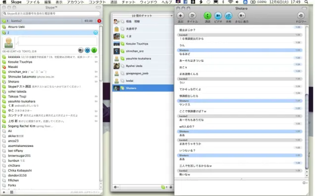 図 2.1 Skype 画面