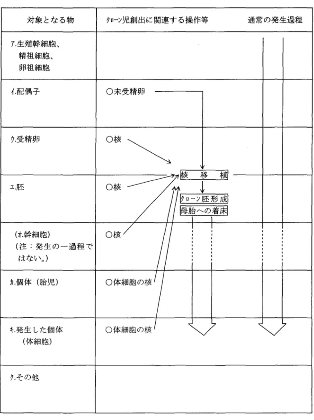 表 ク ロー ン児創 出 に関連す る操作等 について 対象 とな る物 クロ ーン児創 出に関連す る操作等 通常 の発 生過程 ア . 生殖幹細胞 ､精祖細胞 ､卵祖細胞 イ酒己偶子 ○未 受精卵 ク