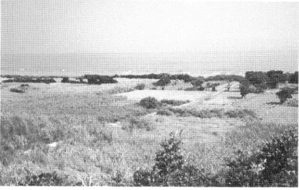 図 四 下 田 原 員 塚 と 出 土 土 器