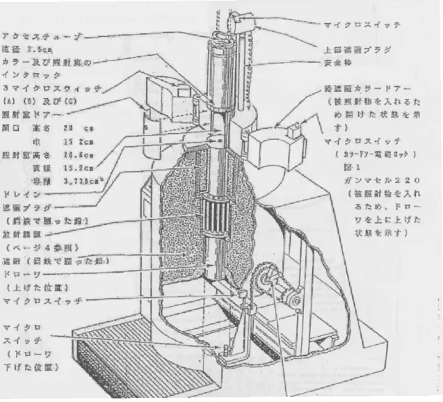 図 3.1: ガンマセル 220