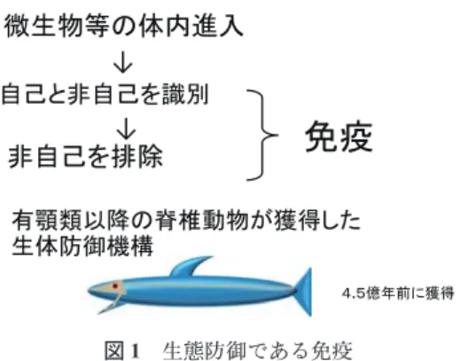 図 1 生態防御である免疫