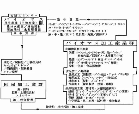 図 9. 沖 縄 型 の 農 工 複 合 産 業 の コ ン セ プ ト .