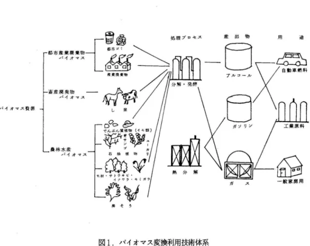 図 l は通産省の「バイオマス変換利用技術の開発 J の中から借用したものである。一般的なバイオ マス変換利用技術の体系を示しているが，沖縄の場合，例示のバイオマス原料はほとんど入手できる し，これ以外にも利用できそうなものがある。開題は量の確保にあり，むしろバイオマス利用のソフ ト面の開発に力を注ぐ体制を考えた方が得策である。 パイオマス原料からの生産物の用途の問題については.我国全体として.その方向付けに苦しんで いる感がする。例えば，戦時中の松根油の採取のような切羽詰った状況にある訳ではなく，有事に備