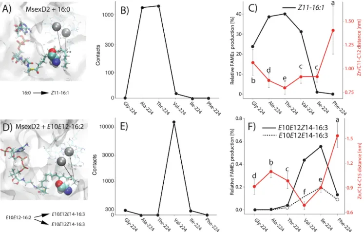 Fig. 4. Molecular dynamics simulations of MsexD2 with 16:0-CoA (A, B, C) and E10E12-16:2-CoA (D, E, F) substrates in the substrate-binding tunnel