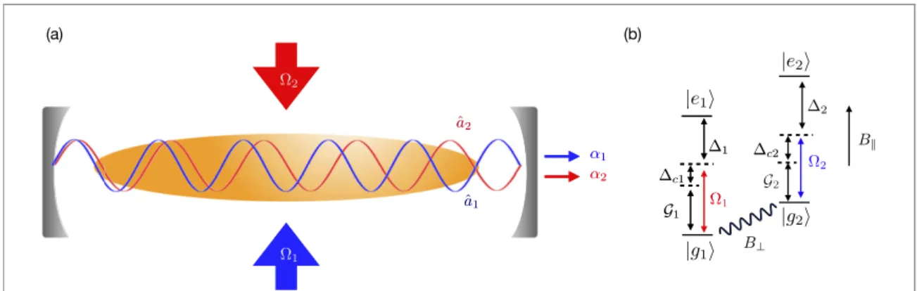 Figure 1. Schematic of the system. The atoms are strongly conﬁned along the axis of an optical cavity and driven by two off-resonant transverse lasers with Rabi frequencies Ω j inducing internal atomic transitions | g j  ↔ | e j  