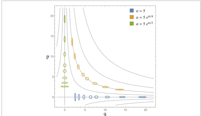 Figure 6. Coherent probe states for squeezing estimation. The ﬁgure shows cross sections of the Wigner functions of coherent probe states with displacements α = 5 (blue), α = 5 e iπ/4 (orange) and α = 5 e iπ/2 (green) after the encoding (squeezing) with st