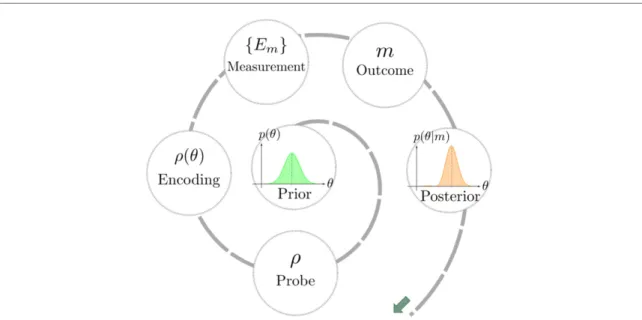 Figure 1. Bayesian quantum parameter estimation. In Bayesian estimation scenarios, prior information encoded in a probability distribution p(θ) is updated based on available measurement data such as observing a particular measurement outcome m, resulting i