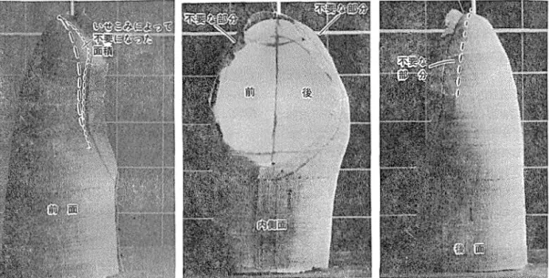 図 24 石膏皮肉図のままのいせこみ そこで第一段階として， 先の石膏展開図のま まのいせこみをおこなってみた。 図24が その結果である。 被験者のもとの石背 型にかぶせてみると， 複曲面形状はほぼ適当な 構成になっているが， 袖付線は石膏型からはみ 出していることがわかる。 このことから， 石膏型切開きのためにはいっ ている余分の面積が， いせこみによってある程 度押し出せることが判明したわけである。 図25 袖 基礎ノfターンに訂正 (  90  )  また， この間から， よこ糸の長さは， それぞれ