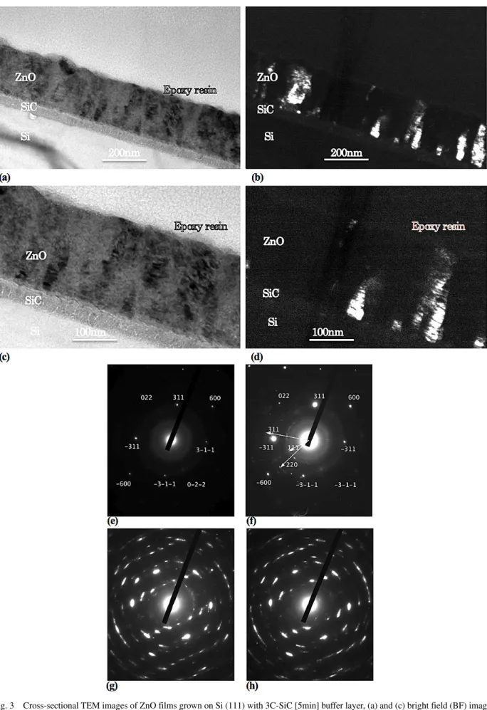 Fig. 3 　 Cross-sectional TEM images of ZnO films grown on Si (111) with 3C-SiC [5min] buffer layer, (a) and (c) bright field (BF) image,  (b) and (d) dark field (DF) image generated from ZnO (002) spot in the selected area electron diffraction (SAED) patte