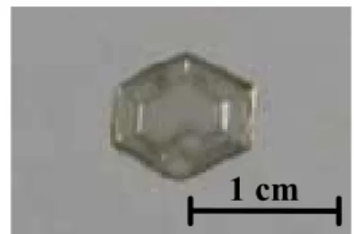 Figure 1    GaN single crystal grown    by PC-SG method  (b) Schematic description of 