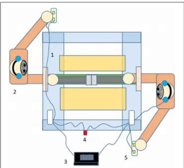 FIGURE 1 | Illustration of the double-participant experimental setup. Several elements of the setup are highlighted in the illustration