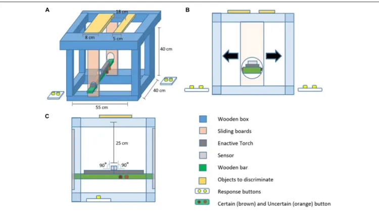 FIGURE 2 | Schematics of the experimental box. Several details are highlighted in color and described in the figure’s legend
