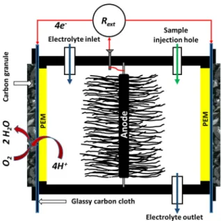 Fig. 1 Scheme of the applied single-chamber air cathode microbial fuel cells (R ext external resistance, PEM proton exchange membrane)