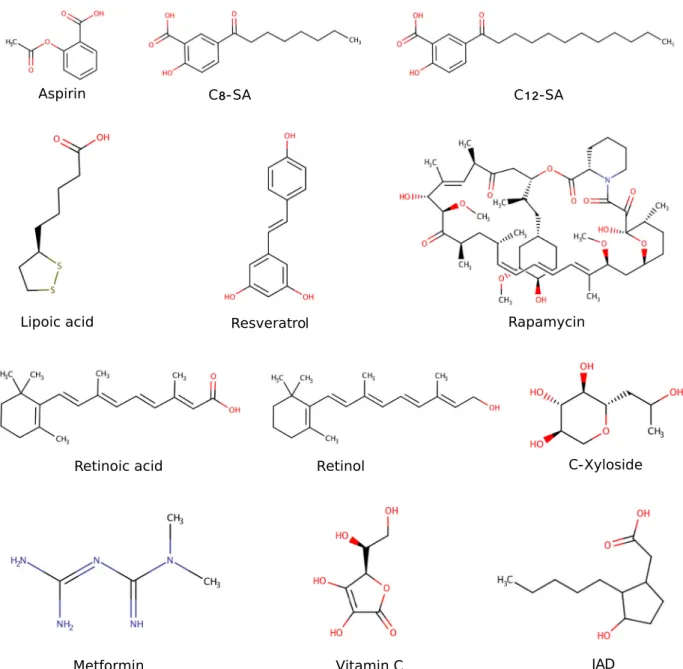 Fig. 2 Twelve test compounds with different sizes and properties are used in the case study of network-based compound screening pipeline.