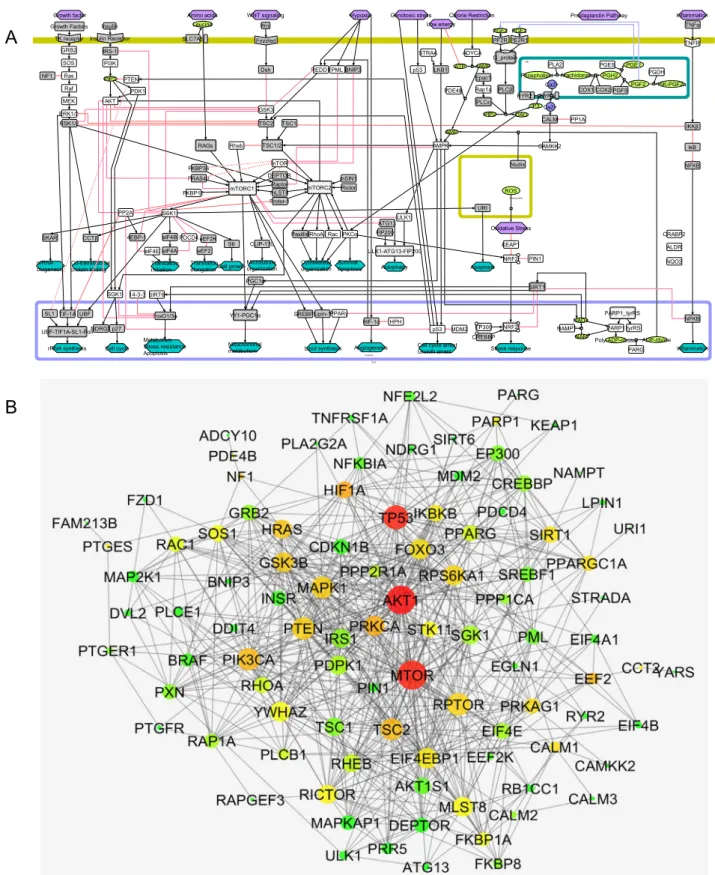 Fig. 3 Construction of pathway map and PPI interaction map. a Molecular mechanistic pathway map of signalling and metabolic pathways associated with cell vitality were manually curated and constructed on CellDesigner 4.3