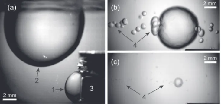 FIG. 1. Side view of the experimental sample cell.