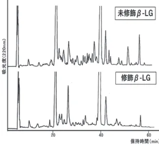 Fig. 3. 未修飾および修飾β‒LG のin vitro 系消化物