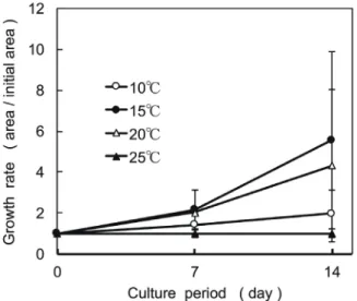 Fig. 4.   Relative growth rate of uniseriate thalli of  Pyropia  tenuipedalis under 10℃ , 15℃ , 20℃ and 25ºC for 14  days  in  culture
