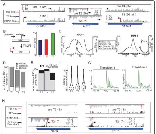 Fig. 4 Widespread dynamic regulation of alternative TSSs within ORFs during cell-fate transitions