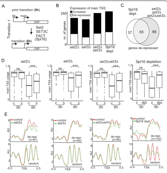 Fig. 6 Chromatin factors mediate repression exercised by upstream alternative TSSs. a Schematic for determining how chromatin factors (Set2, Set3, and FACT) contribute to repression of the main TSS through transcription from alternative upstream TSSs