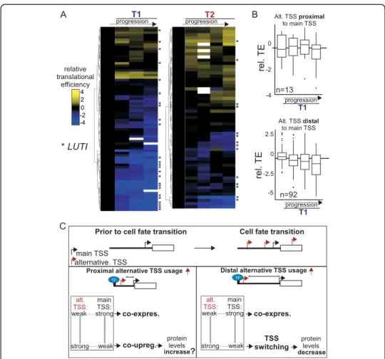 Fig. 7 Genes expressing upstream alternative TSSs display a wide range of translational efficiencies