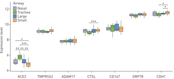 FIGURE 1 Microarray expression profiles of candidate SARS-CoV-2 receptor genes in upper and lower airways