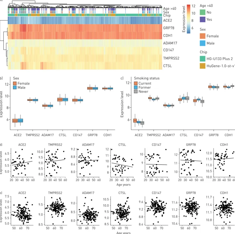 FIGURE 2 Microarray expression profiles of candidate SARS-CoV-2 receptor genes in lower airway epithelial cells, analysed by age and sex