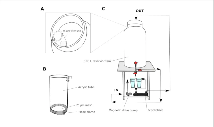 Figure 1: Schematic of seawater filter system.