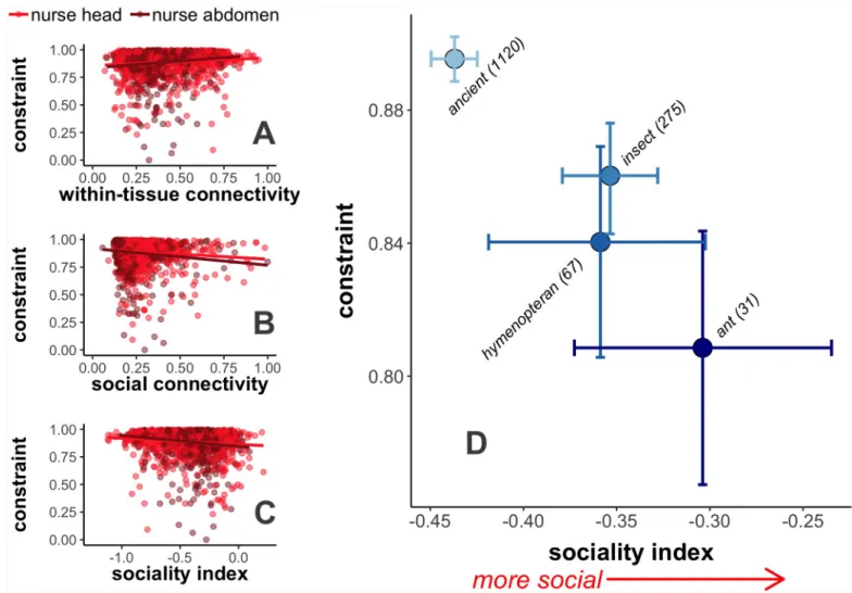 Fig 4. Highly social genes tend to be less evolutionarily constrained. Selective constraint, estimated from whole-genome polymorphism data, is (A) positively correlated with within-tissue connectivity (Spearman correlation; head: rho = 0.122, P < 0.001;