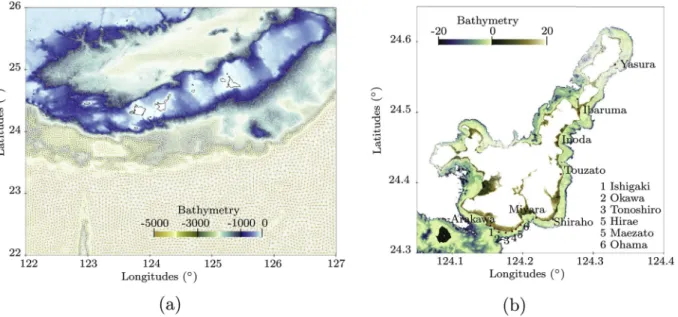 Fig. 3. Mesh generated for this study with the interpolated bathymetry and the reef. (3a) General view and complete mesh