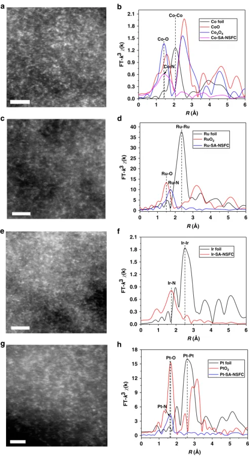 Fig. 3 Characterization of M-SA-NSFCs with other metals. a, c, e, g AC-HAADF-STEM images and b, d, f, h EXAFS experimental data: a, b Co-SA-NSFC;