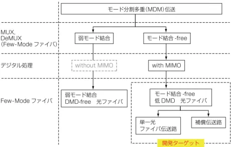 図 2　MDM伝送に適用されるFMFの分類